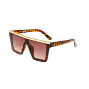 Nashville Tortoise Sunglasses