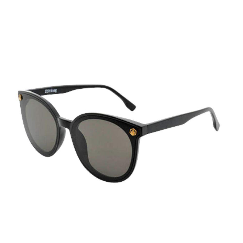 American Bonfire Co. Rockstar in Black Sunglasses