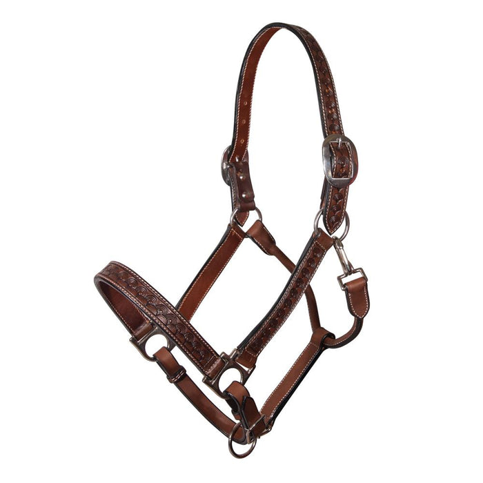 Chocolate Carapace Leather Horse Halter