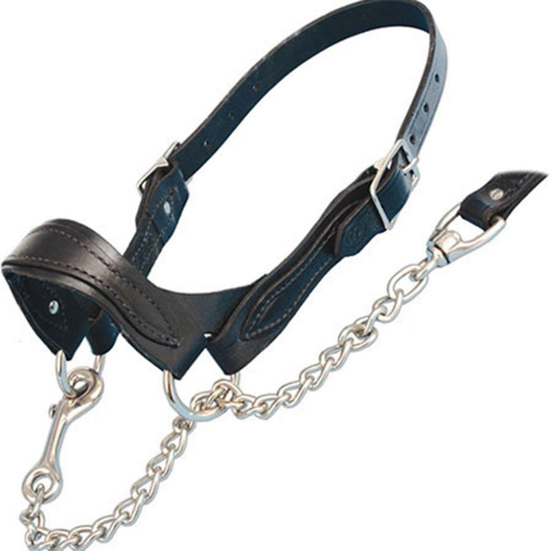 Leather Scallop Nose Show Halter