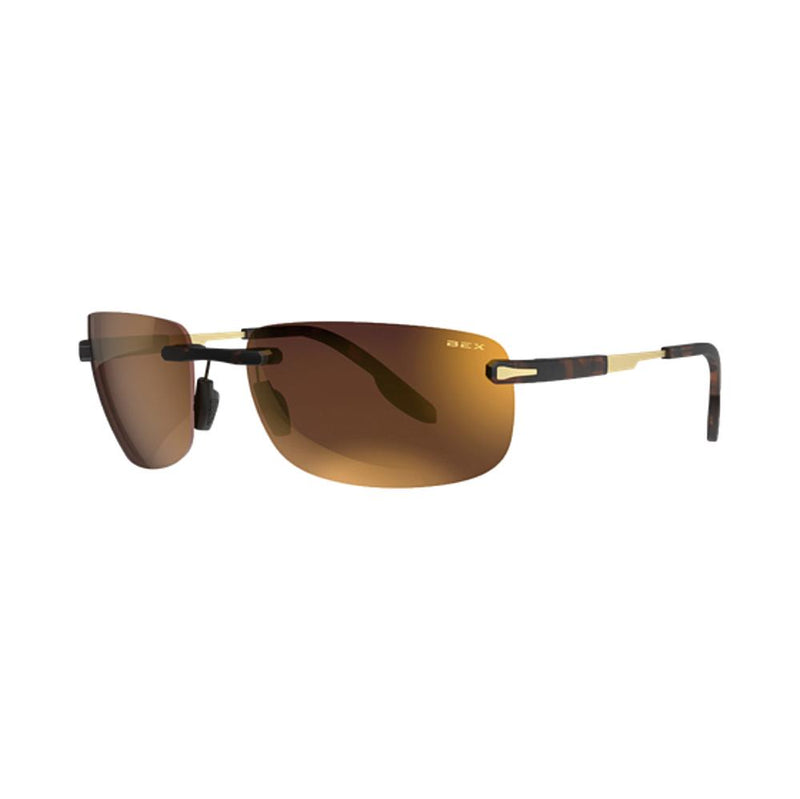 Brackley X Tortoise and Gold Sunglasses