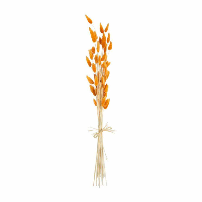 Mud Pie Orange Preserved Bunny Tails