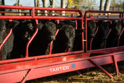 10ft Fence Line Feeder Panel