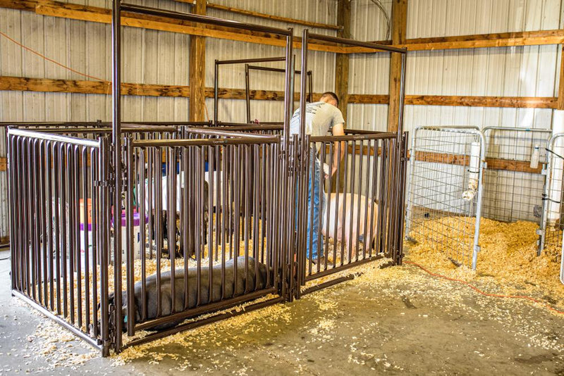 Expo Hog & Sheep Walk Through 4ft