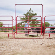6ft American Walk Thru Gate