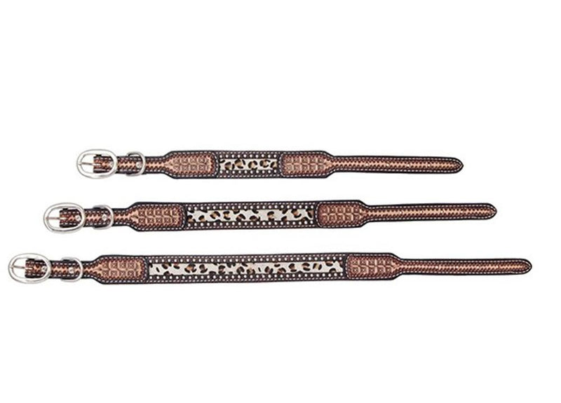 Company Tooled Dog Collar