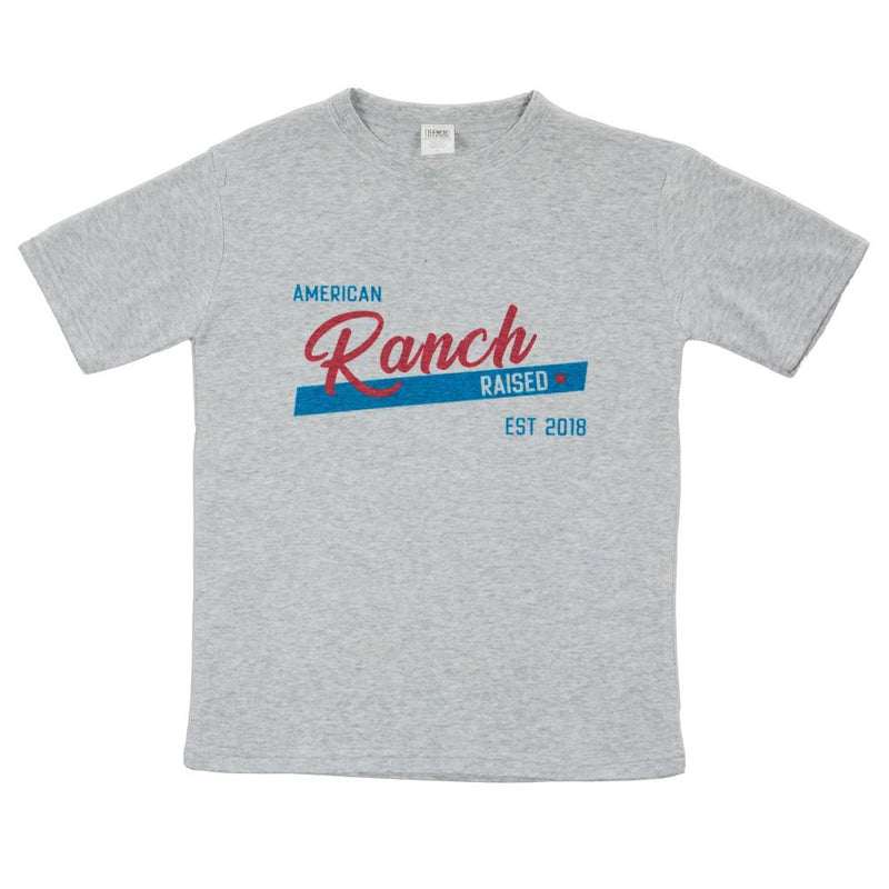Boy's Grey American Tee