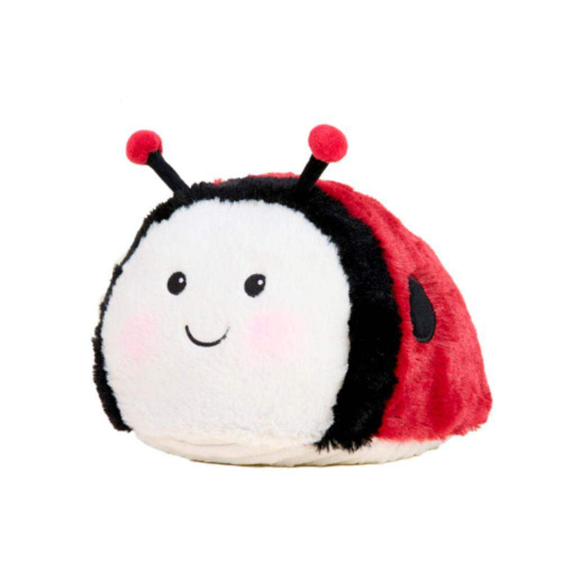 Lady Bug