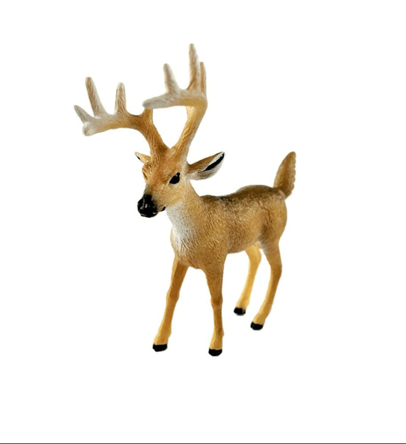 White Tailed Buck