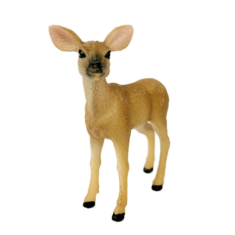 White Tailed Doe