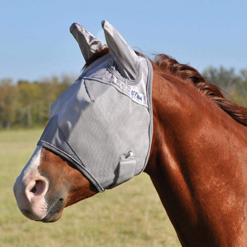Arabian / Small Horse Fly Mask