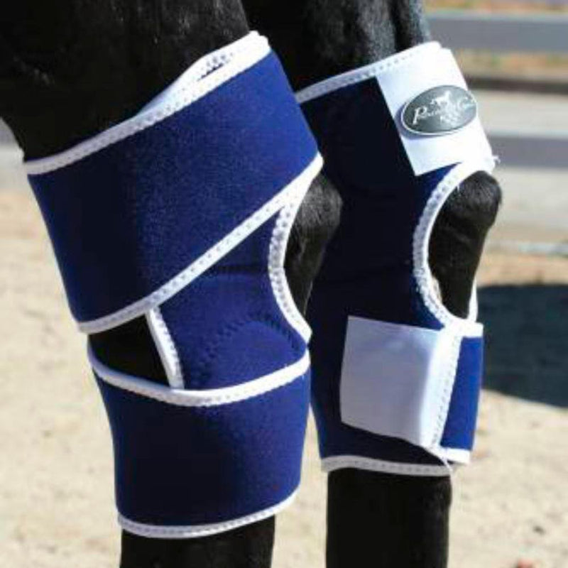 Magnetic Hock Boots