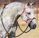 Hermann Oak Knotted Hackamore with 8ft Split Reins