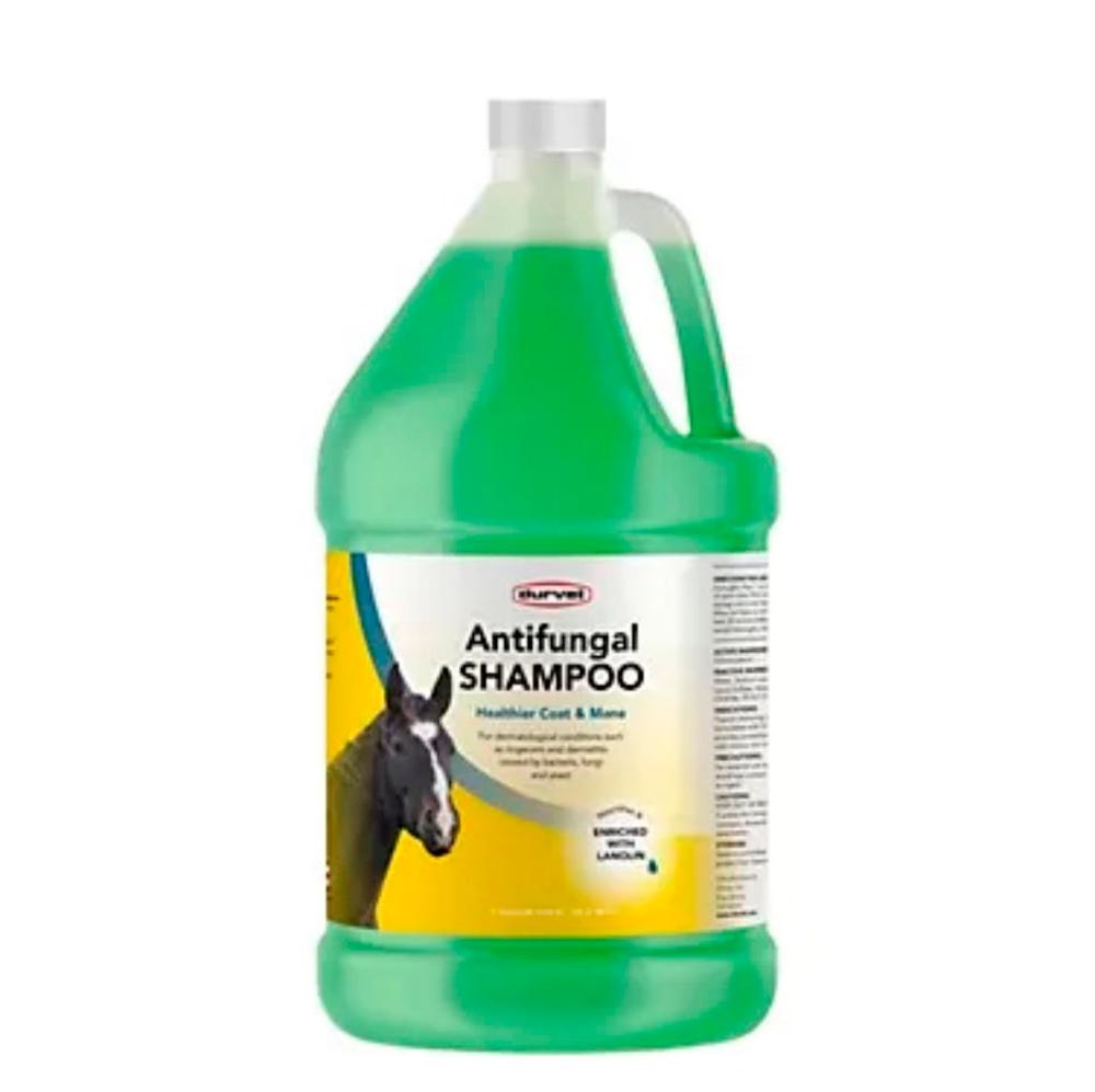 Durvet Antifungal Equine Shampoo Gallon