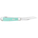 Case Seafoam Green G 0 - Smooth Trapper (10254 SS) Knife