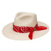 C1H Lainey Wilson Dreamcatcher 3 1/2 in. Brim Fashion Hat