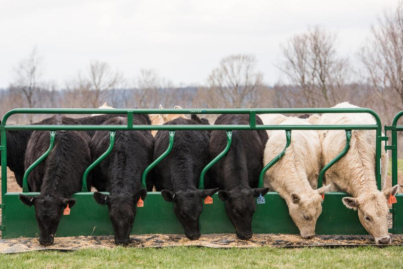10` FENCE LINE FEEDER PANEL W/HAY SAVER