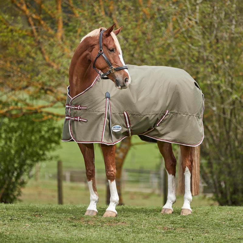 ComFiTec Essential Standard Neck Medium Horse Blanket, Olive Green/Burgundy/White, 75in