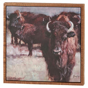 Buffalo Canvas Wall Art