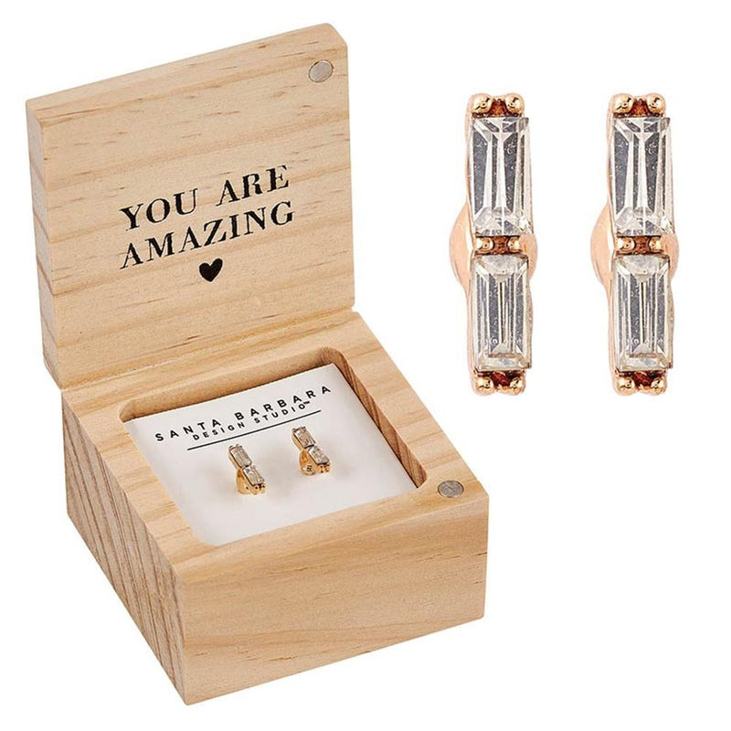Treasure Box Teacher Earrings
