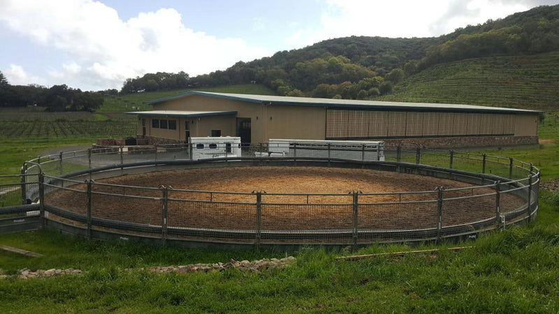 Premium SOLID BOTTOM 60' ROUND PEN