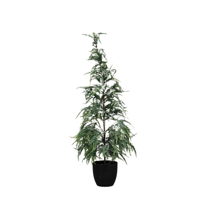 Faux Pine Tree With Plastic Pot Frost Finish