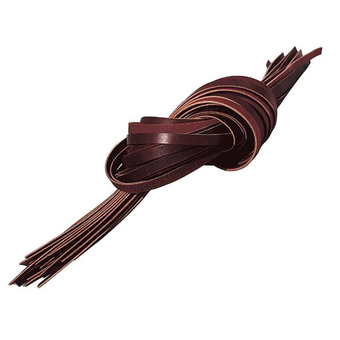 Saddle Strings 3/8x72