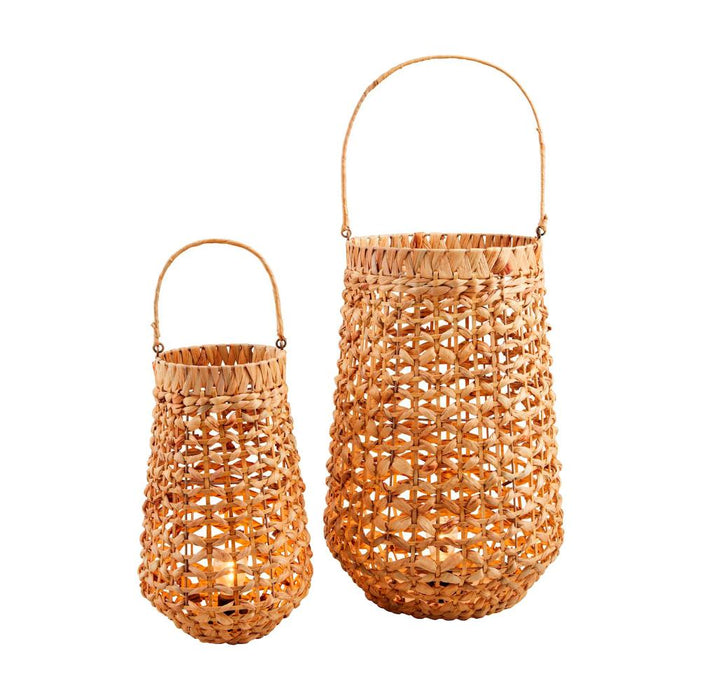 Hyacinth Light Up Lantern Set