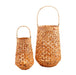 Hyacinth Light Up Lantern Set