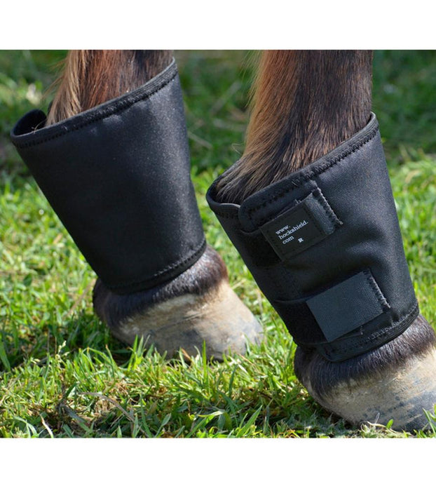 Fetlock Shields