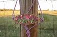 Pink Desert Sunrise Bronc Noseband Rope Halter