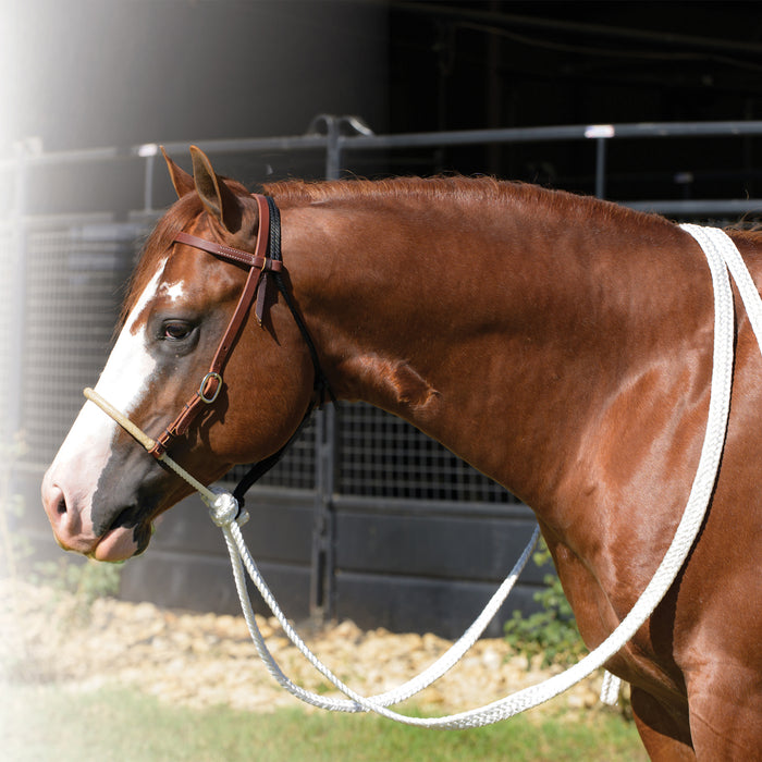 Rawhide Rope Noseband Loping Hackamore w/Reins