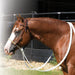 Rawhide Rope Noseband Loping Hackamore w/Reins