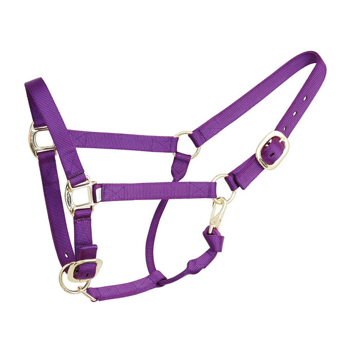 Deluxe Purple Nylon Halter