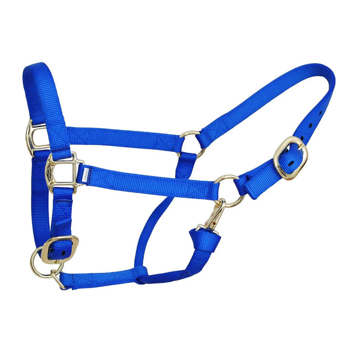 Deluxe Royal Blue Nylon Halter