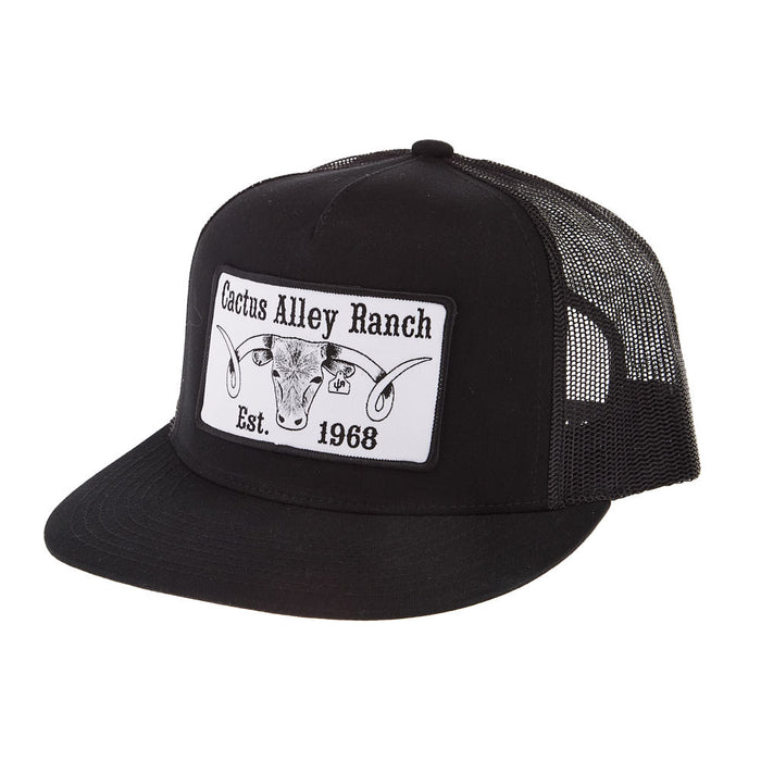 The Big Curl Black Cap