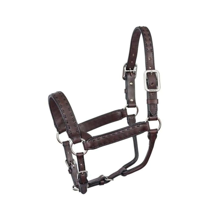 Perris Leather Buckstitch Havana Black Leather Halter