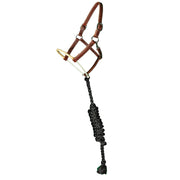 Rawhide Wrapped Single Rope Noseband Leather Ranch Horse Halter