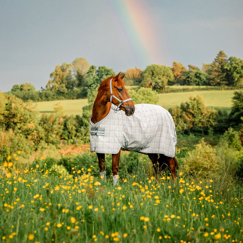 Newmarket Witney Charcoal Fly Sheet