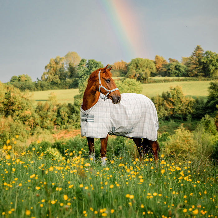 Newmarket Witney Charcoal Fly Sheet
