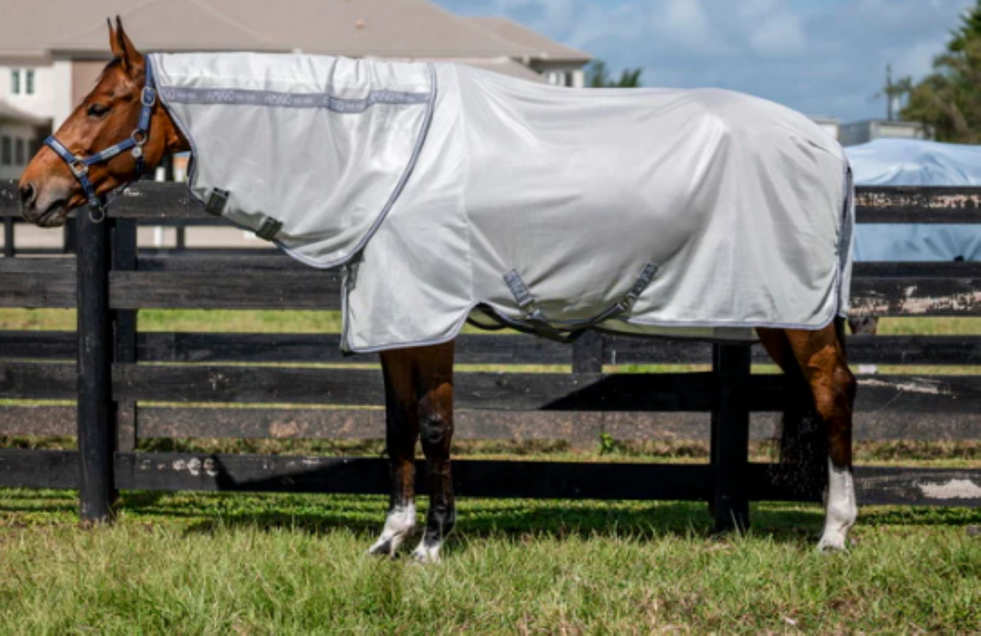 Amigo Silver and Titanium Grey Integrated Fly Sheet