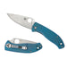 Tenacious Blue Titanium