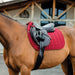 Amigo Mulberry Jumping Saddle Pad