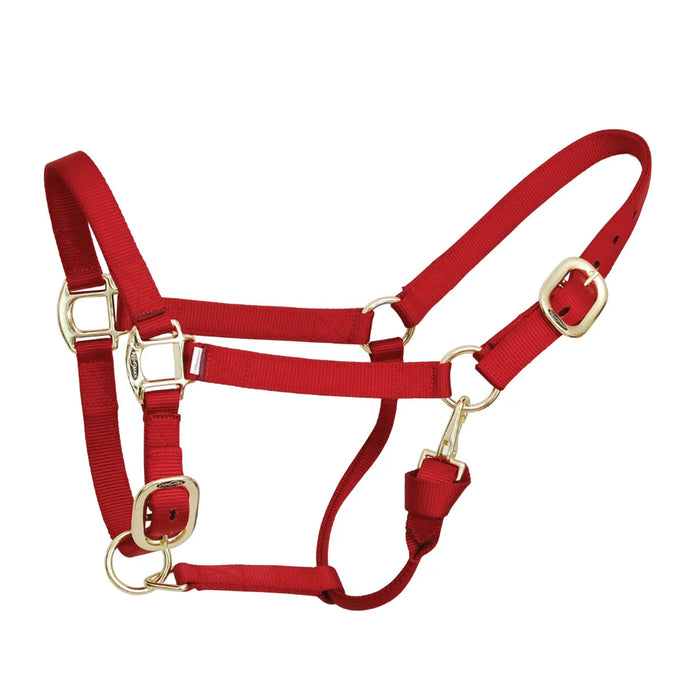 Deluxe Red Nylon Halter
