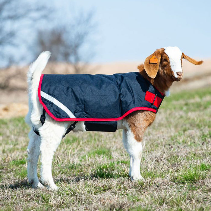 Goat Coat