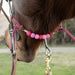 Pink Cactus Silicone Beaded Gag Bit Curb Strap