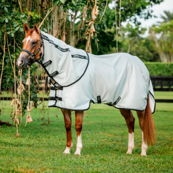 Amigo Bug Rug Stock Horse Silver and Black Fly Sheet NO HOOD