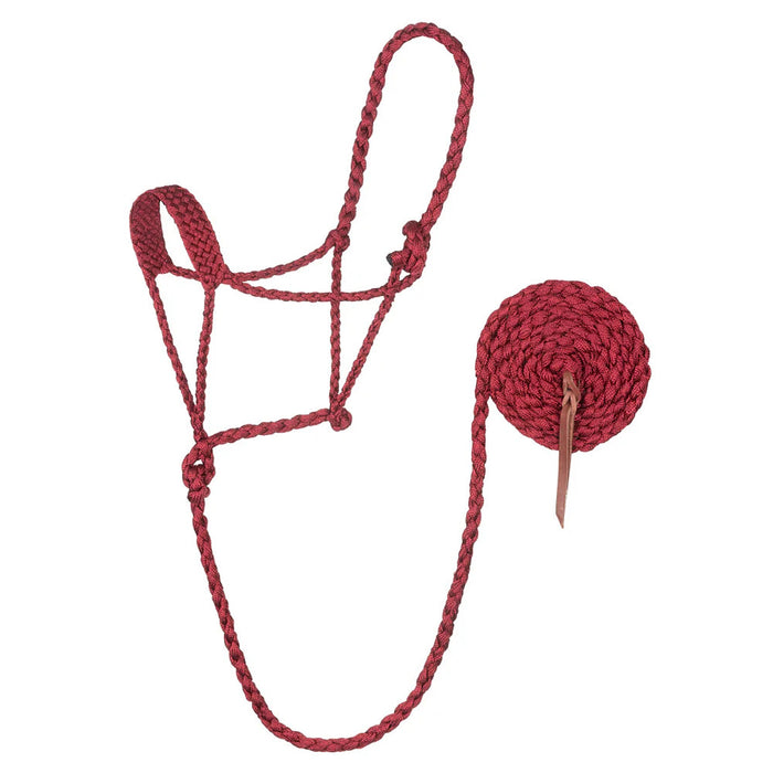 Dark Red Braided Halter with Lead