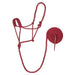 Dark Red Braided Halter with Lead