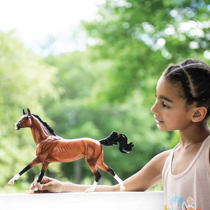 Breyer Adamek